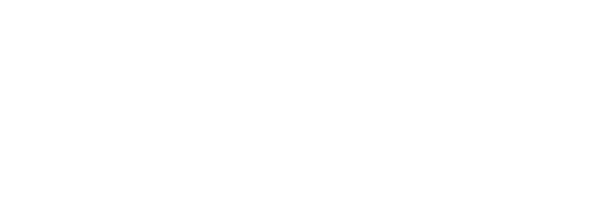 Liggend logo Delfland WIT